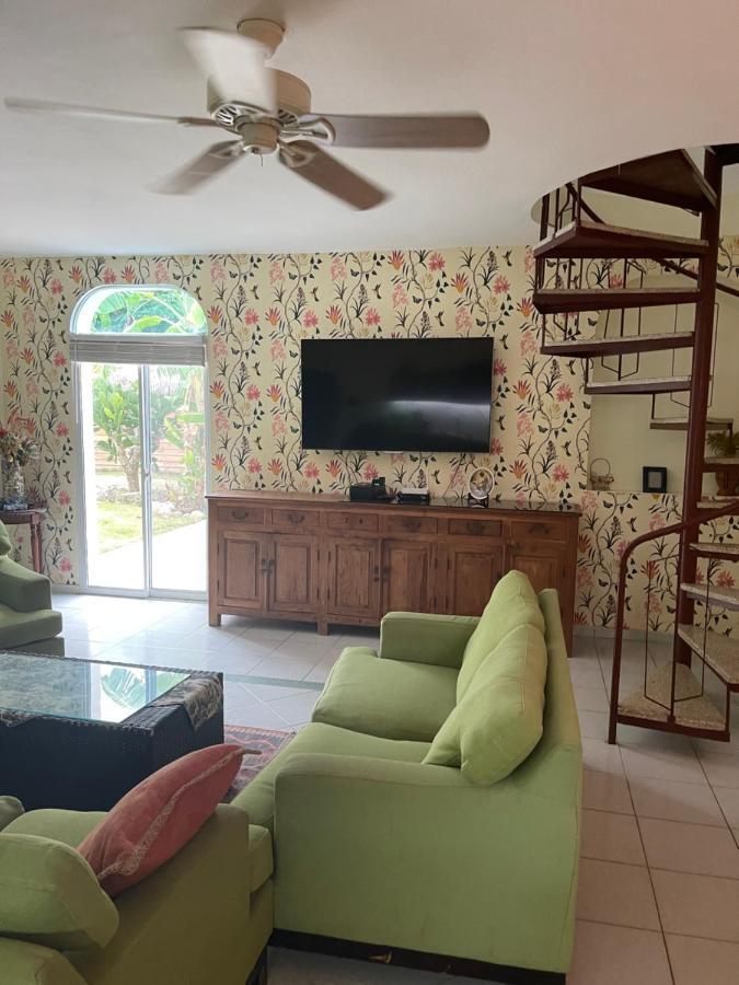 Freandly Three Bedrooms Apartment Сосуа Экстерьер фото