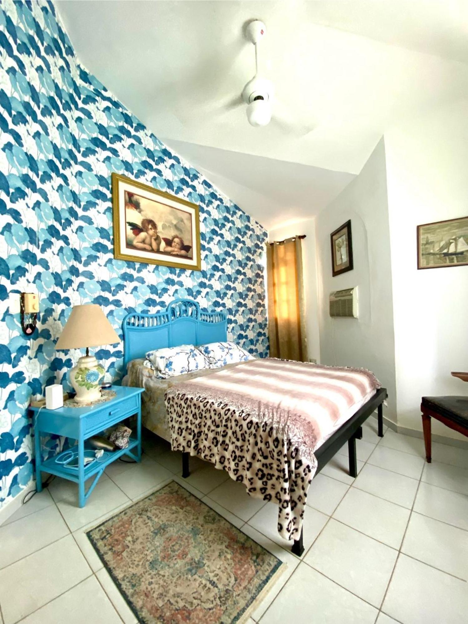 Freandly Three Bedrooms Apartment Сосуа Экстерьер фото
